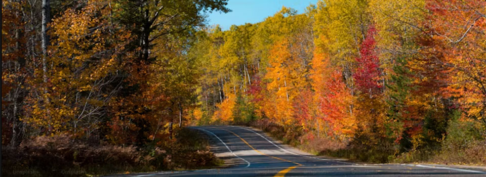 Image: Staying Warm and Cozy in Your RV This Fall